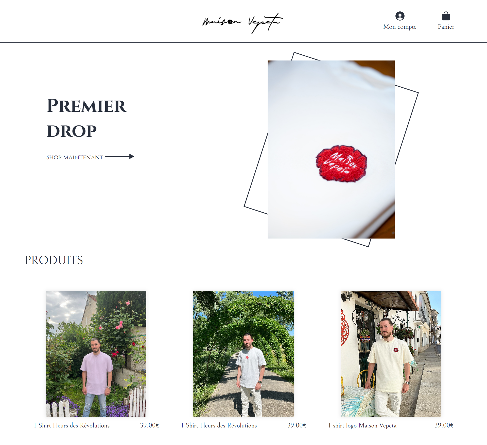 Visuel du concept de site web pour Maison Vepeta, entreprise française